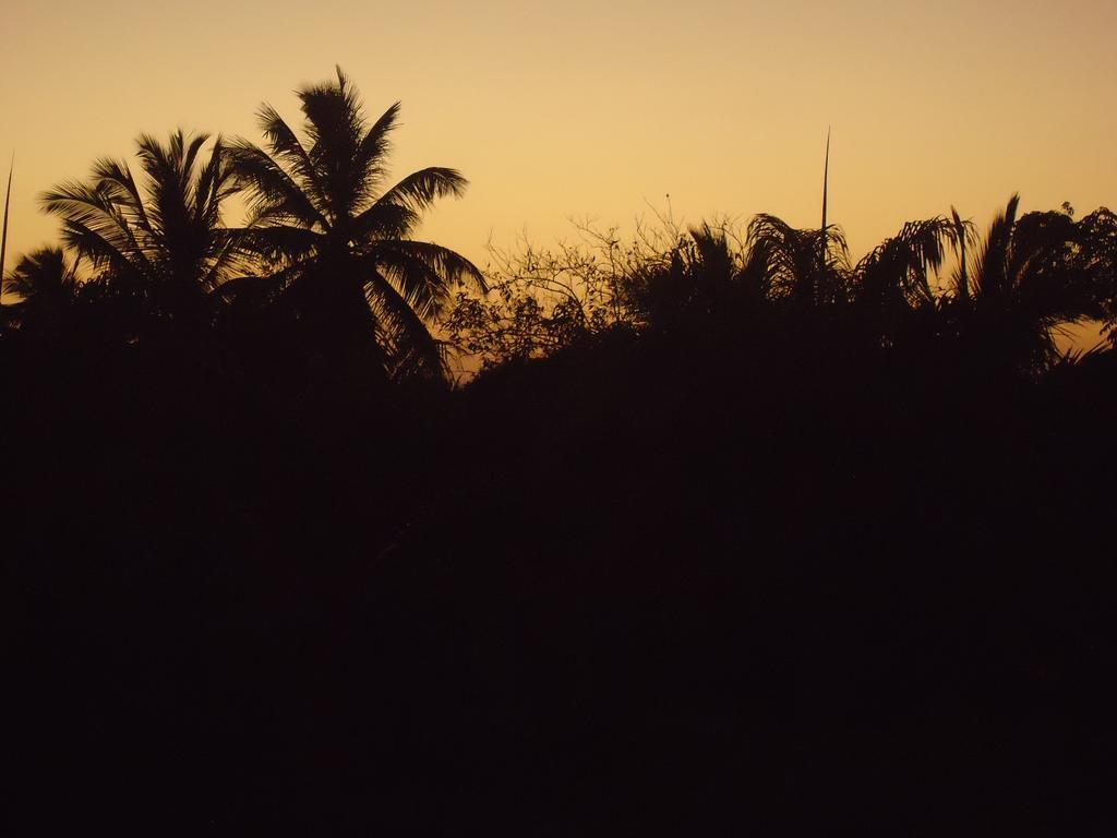Cobertura Porto de Galinhas